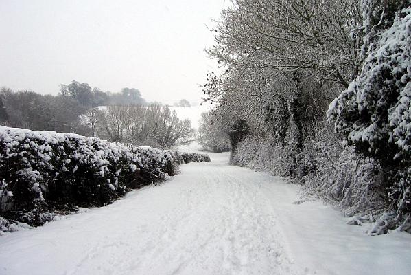 february snow 1.jpg
